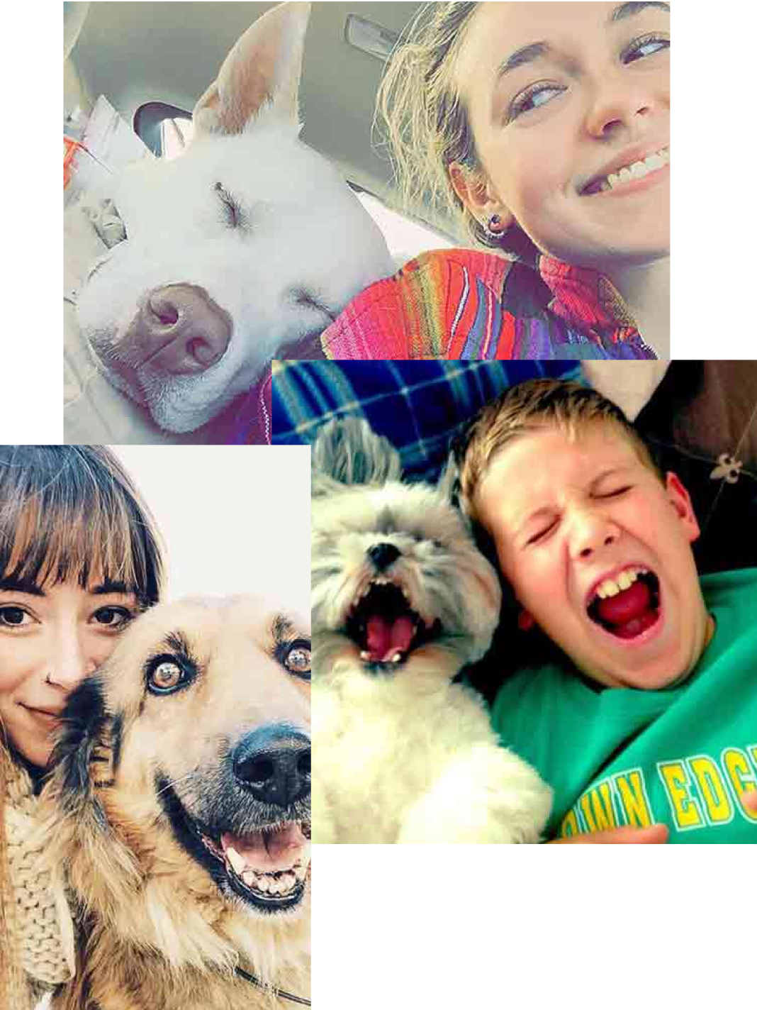 User generated photos of Wisdom Panel customers and their dogs